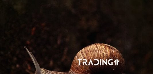 trading11 analyza BTC bitcoinshorty
