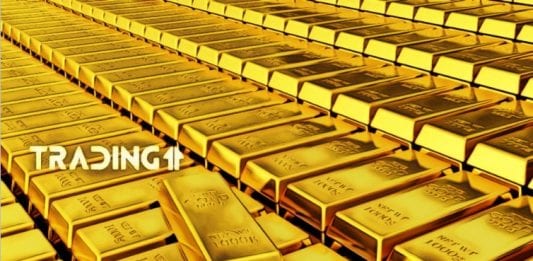 GOLD ZLATO analýza trading11