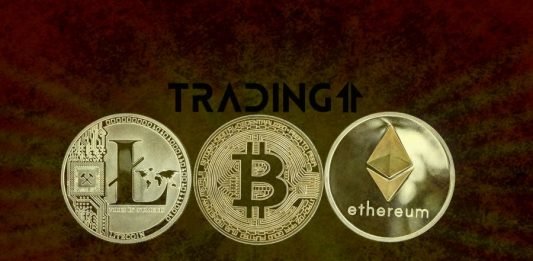 mince, altcoin, altcoiny, btc, coin, eth, ltc