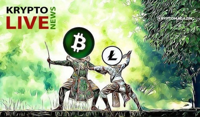 Krypto News LIVE stream Krypto News LIVE stream