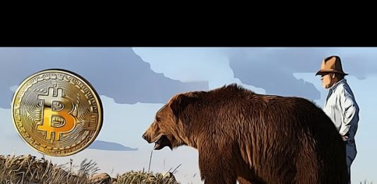 update trading11