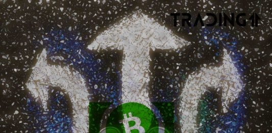 what direction bitcoin cash