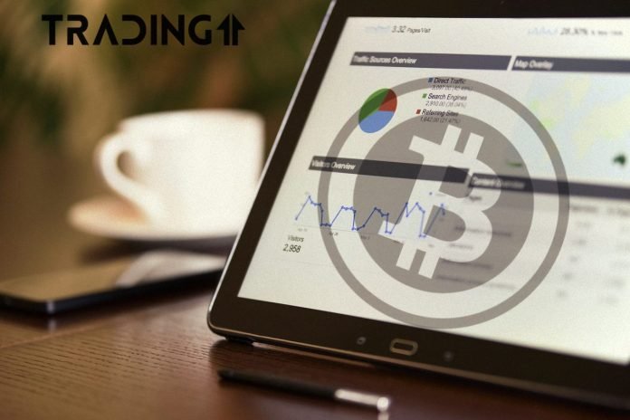 BTC, Bitcoin, graf, statistika BTC, Bitcoin, graf, statistika