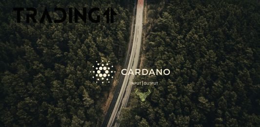 Cardano, ADA, update trading11