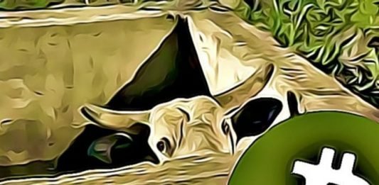 BTC-bull-trap