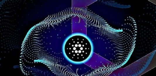 Cardano Foundation bude mít nového šéfa! Co od něj můžeme očekávat?