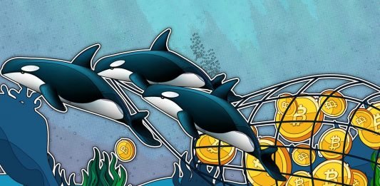 Přichází cenová exploze Bitcoinu! Dokazuje to chování velryb a institucí na trhu